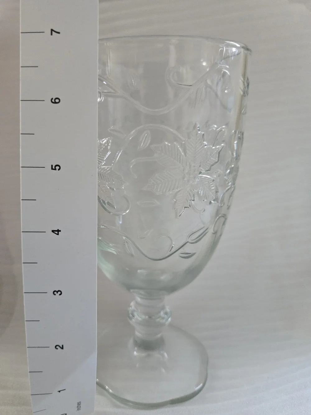 Princess House Clear Embossed Glass Goblet - Elegant Dining Glassware